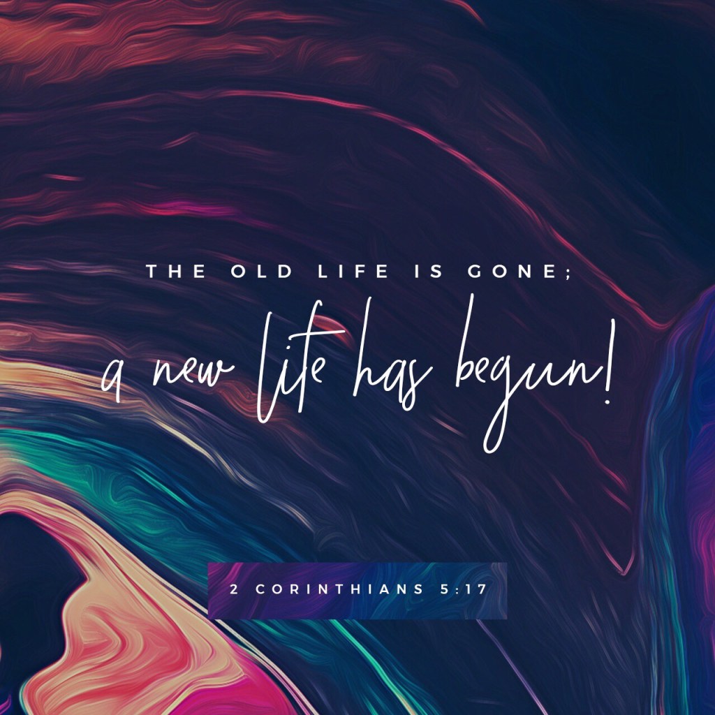 2018 Blessings in&nbsp;review